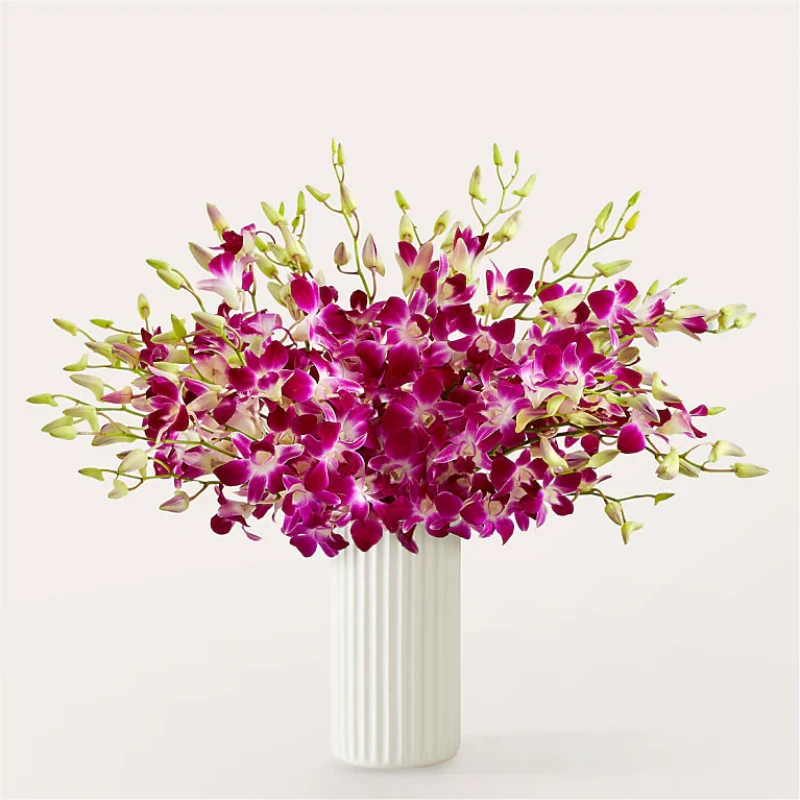 Positively Purple Orkide Bouquet