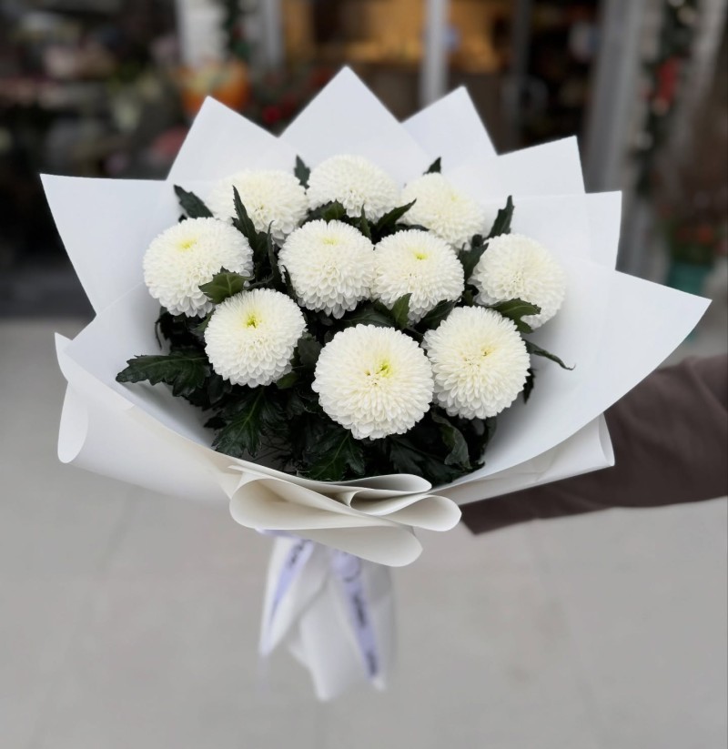 Beyaz Ponpon Krizantem Buketi