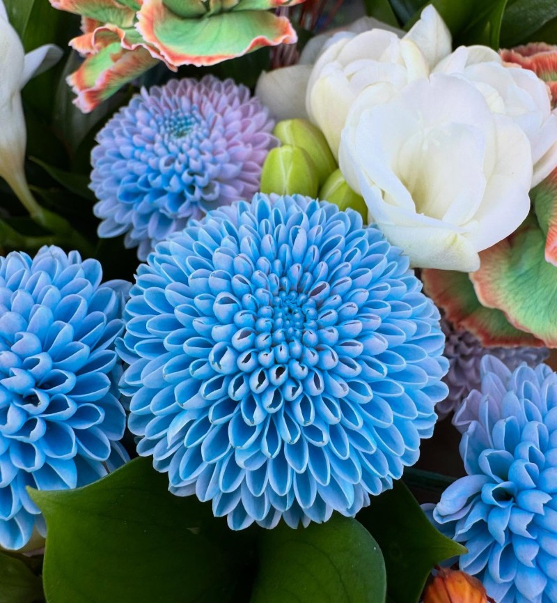 Karanfil Krizantem Ve Frezya Buketi