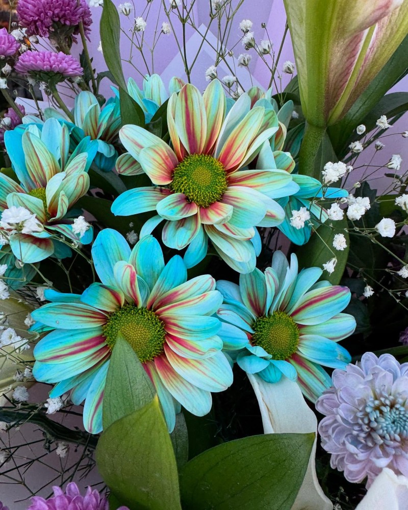 Lilyum & Renkli Krizantem Buketi