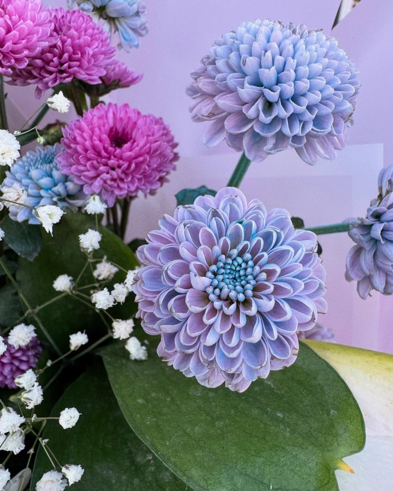 Lilyum & Renkli Krizantem Buketi