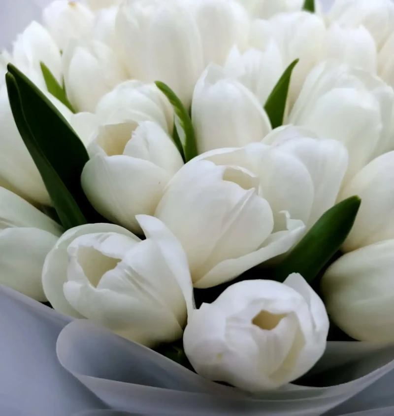 Beyaz Lale Buketi
