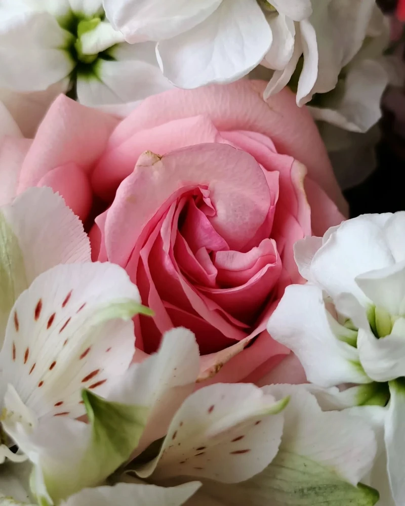 Lia Aranjmanı | Kutuda